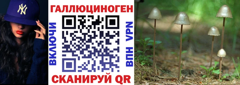 Купить закладки  Славянск-на-Кубани  Псилоцибиновые грибы прущие грибы 
